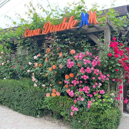 Casa Double M, Vama Veche Hotel Ngoại thất bức ảnh